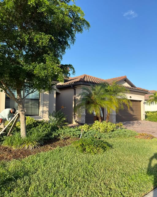 Palms, shrubs and garden beds surrounding a Florida home
