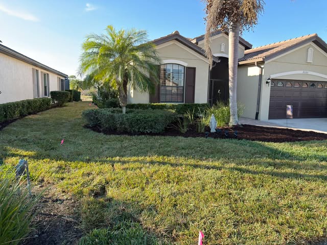 Palm trees and planted beds at a residential property