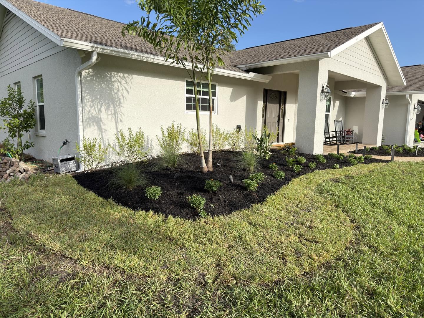 Detail of fresh planting beds, mulch and palms installed by Landscapes By Aaron